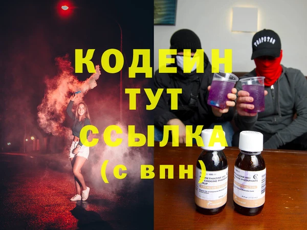 крисы Кулебаки