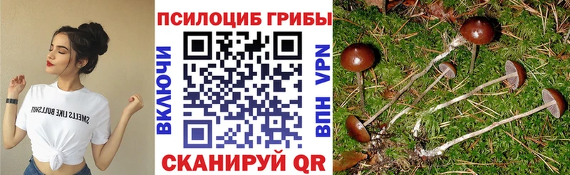 Псилоцибиновые грибы мухоморы  Купить  Всеволожск 